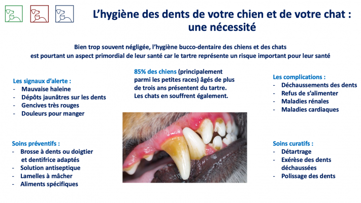 Hygiene bucco-dentaire