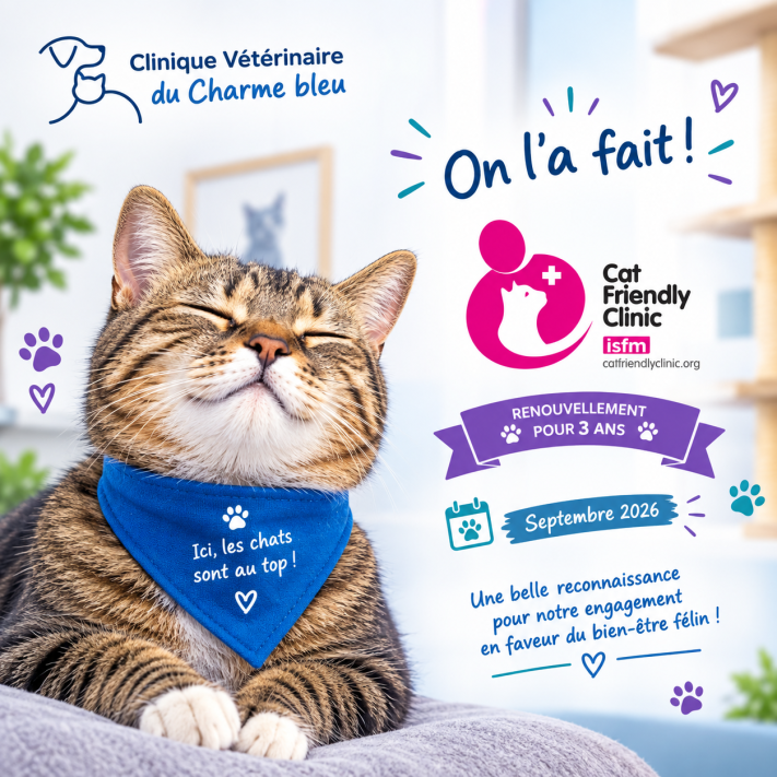 Renouvellement Cat friendly