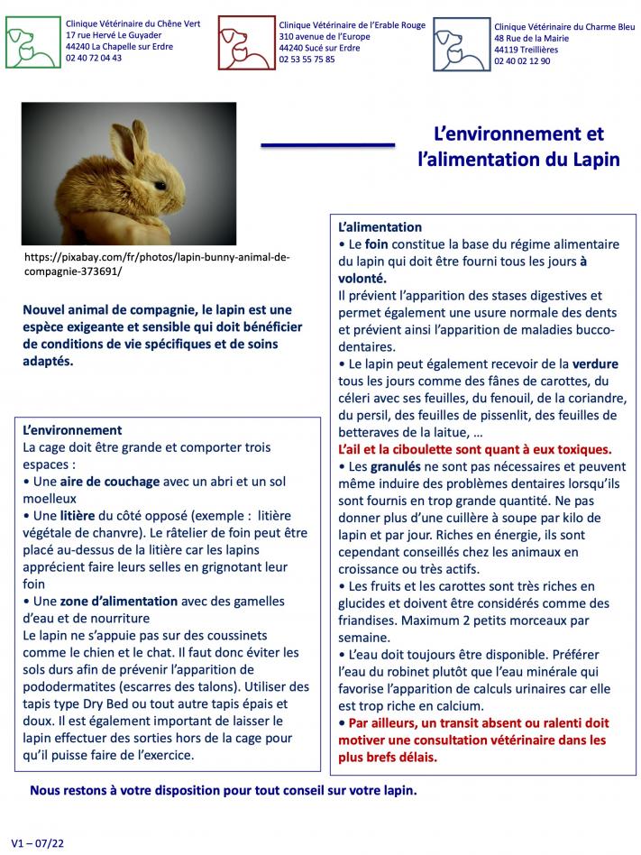 Environnement et alimentation de votre lapin