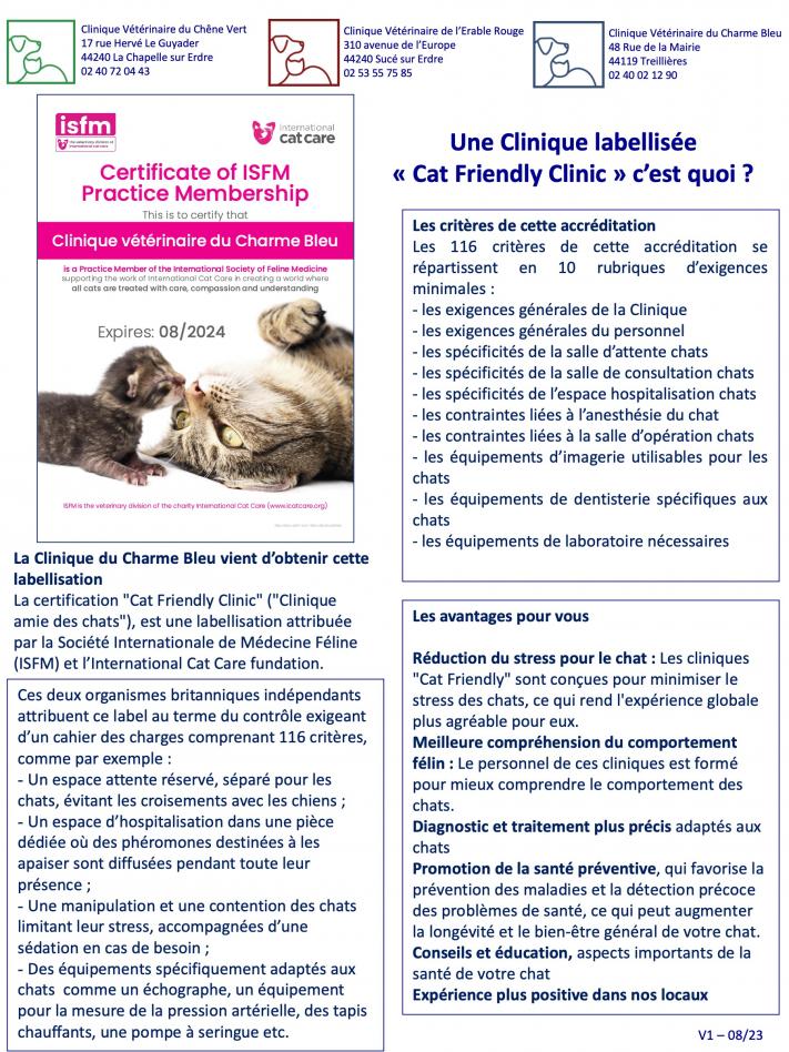 Cat friendly clinic